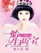 《好孕鲜妻,一胎生两宝》