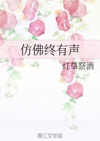 《仿佛终有声》