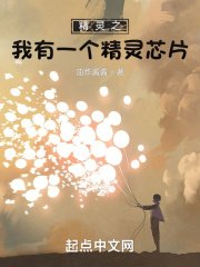 《精灵之我有一个精灵芯片》