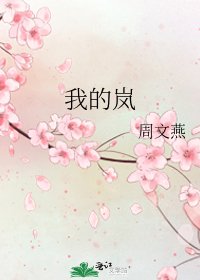 《我的岚》