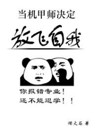 《当机甲师决定放飞自我》